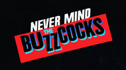 Never Mind the Buzzcocks